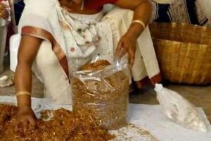 तरक्की का एक नया मार्ग प्रशस्त कर रही अनिता
