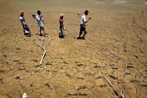 बिहार के 33 जिलों पर सूखे का खतरा
