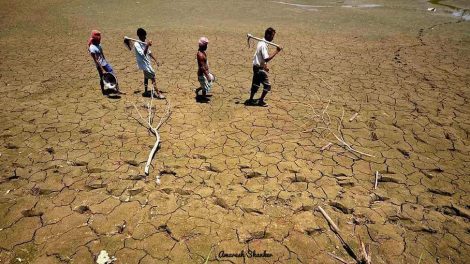 बिहार के 33 जिलों पर सूखे का खतरा