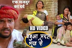 लॉक डाउन में प्रवासी मजदूरों के दर्द पर बना गुंजन सिंह का हो रहा वायरल