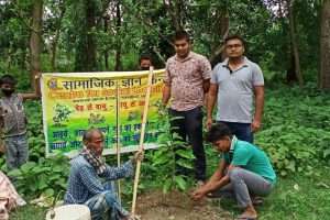 विश्व पर्यावरण दिवस पर पौधारोपण कर दिया संदेश