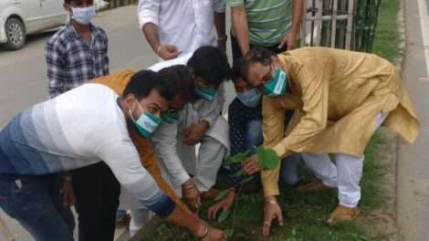 बिहार पृथ्वी दिवस के मौके पर वृक्षरोपण किया गया ।