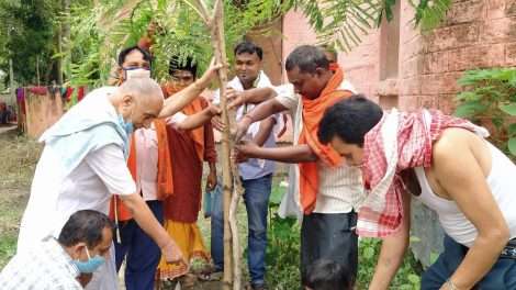 वृक्ष बिना मानव जीवन संभव नही : डॉ० गोपालजी त्रिवेदी