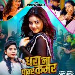 प्रिया सिन्हा, करिश्मा कक्कड़ का भोजपुरी लोकगीत 'धरा ना पातर कमर' वर्ल्डवाइड रिकॉर्ड्स ने किया रिलीज