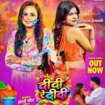 Didi Re Didi #Shilpi Raj #Updated Biharan #Navratan Pandey | दीदी रे दीदी #holisong #song #shorts